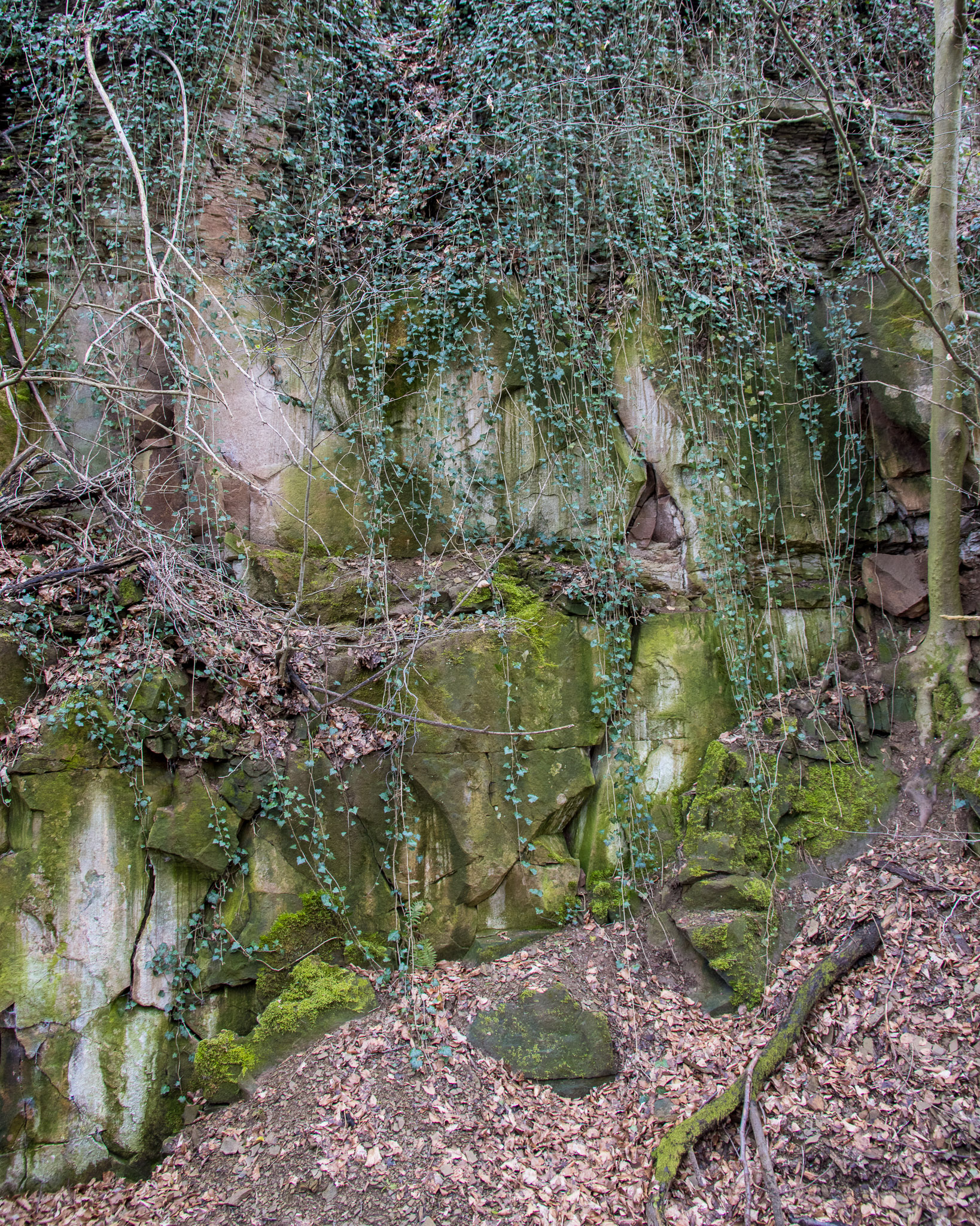 20220410112613 R5D 2017